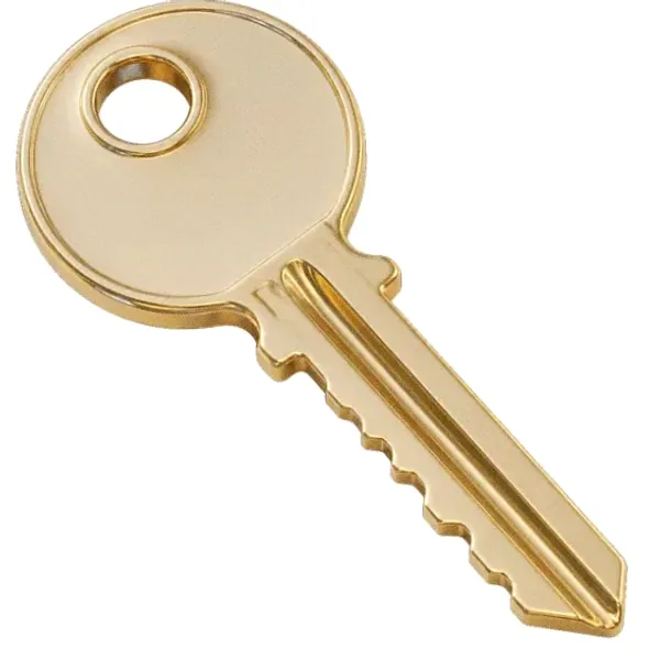 Metal key — Amonbet