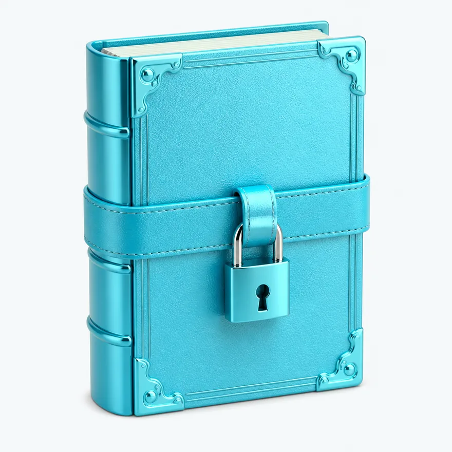 Book with padlock strap — Amonbet